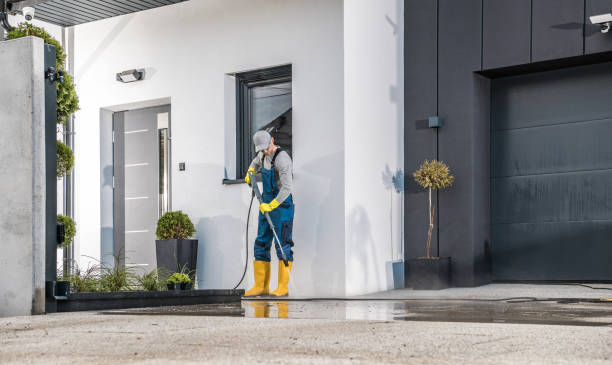 Best Solar Panel Cleaning  in Clewiston, FL